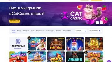 Почему сайт Cat Casino недоступен